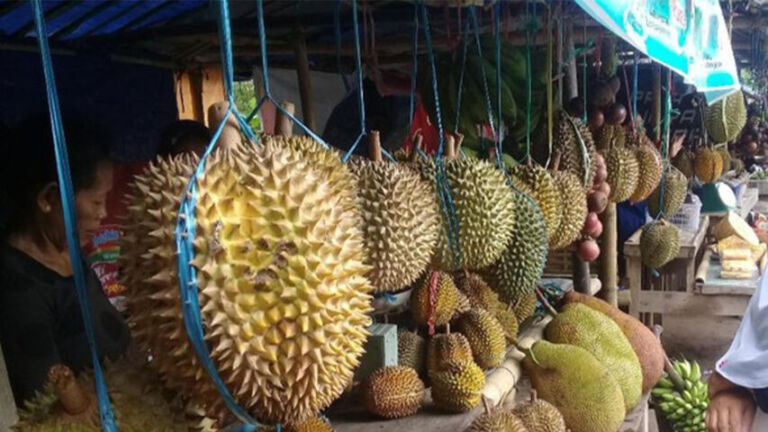 Durian ngebel