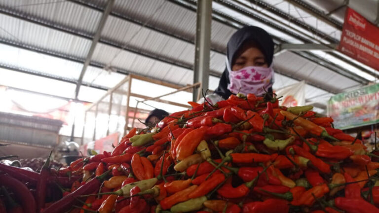 Harga Lombok Naik