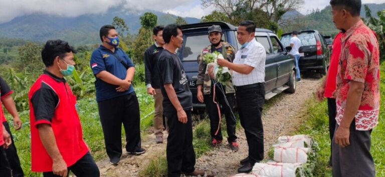 Salurkan Puluhan Ribu Bibit Kubis, Upaya Stabilkan Harga Sayur