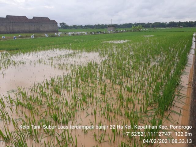 Sawah yang Terkena Banjir