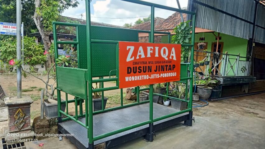 Jintap