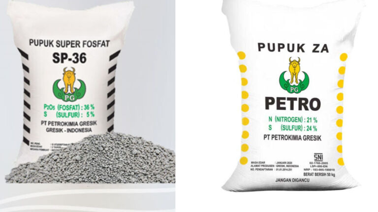 pupuk
