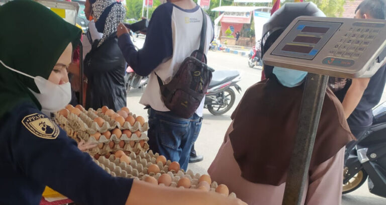 bazar telur ok