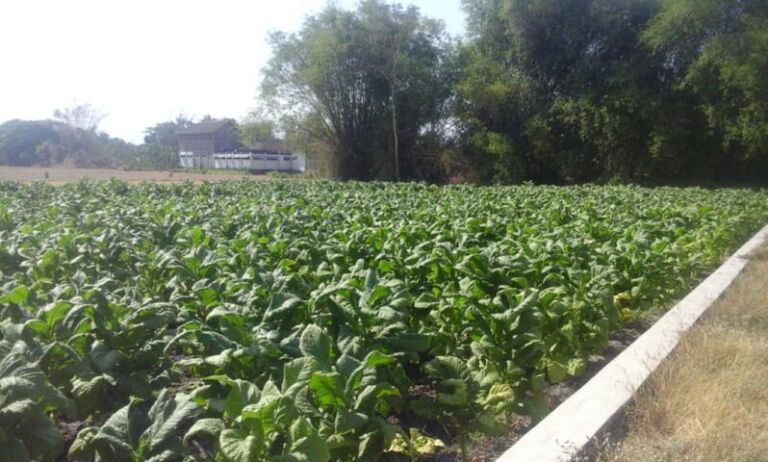 72346710_10156642924148193_7234471749792825344_n