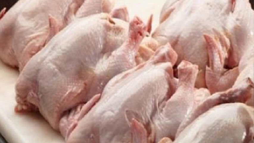 ayam potong