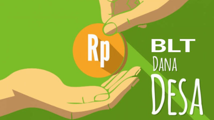 BLT DD