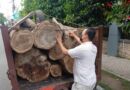 Dua Pelaku Illegal Logging Asal Madiun Diringkus Resmob di Kedungbanteng