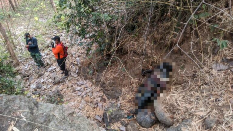 84177e80-7fd9-4168-9d8b-b432287f1cee