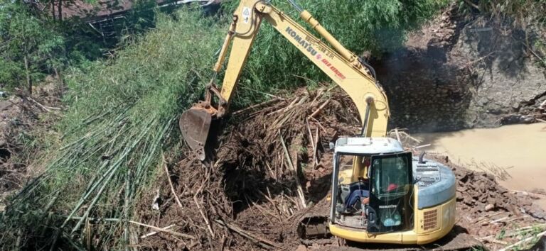 WhatsApp Image 2022-10-12 at 07.56.26