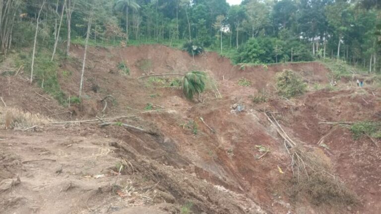 WhatsApp Image 2022-11-01 at 15.45.53