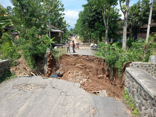 WhatsApp Image 2022-11-11 at 06.44.16