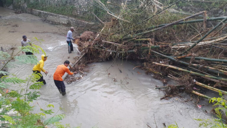 Dapuran bambu terbawa aliran sungai