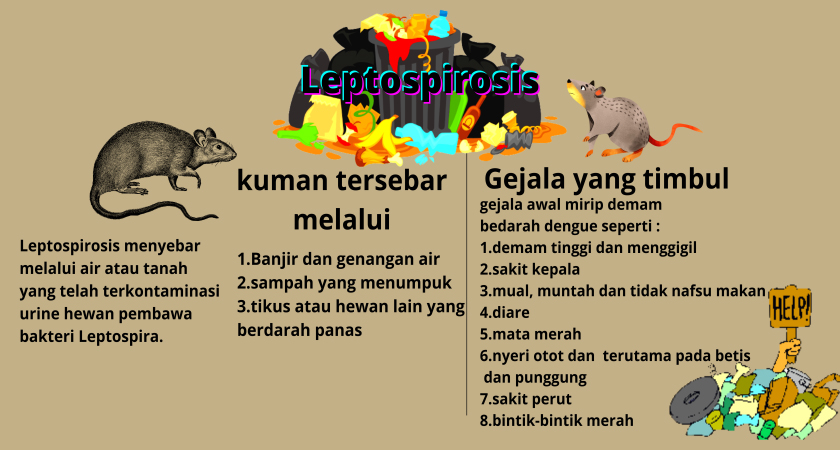 ilustrasi leptospirosis