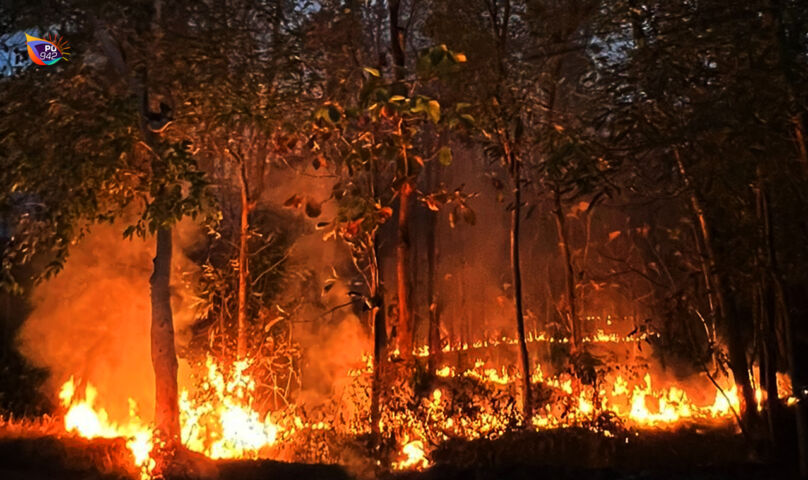 Penyebab Terbakarnya Hektar Lahan Jati Di Gunung Pegat Masih Tanda Tanya Gema Surya Fm