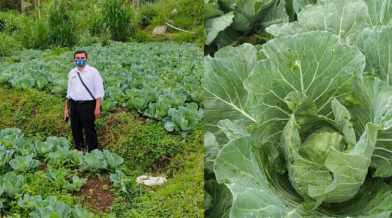 Sayur-di-Pudak-800x445