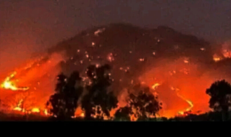 Dampak Elnino Mulai Dirasakan Karhutla Terus Meluas Di Ponorogo Gema