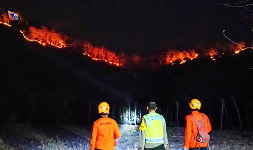 Dalam Sehari Ada Dua Titik Kebakaran Hutan Di Balong - Gema Surya FM