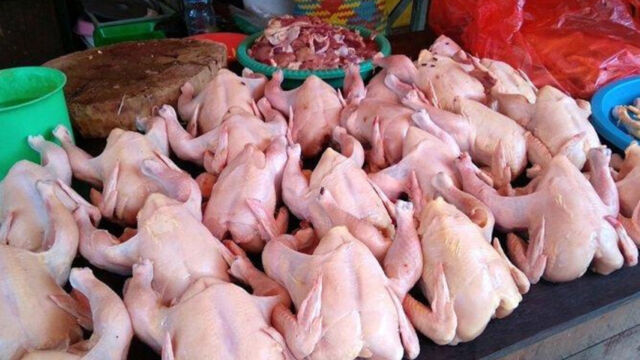 Sempat Anjlok 4 Hari, Harga Daging Ayam Potong Naik Lagi