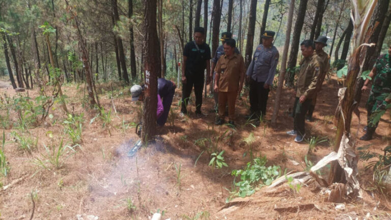 Pembangunan hutara di Tumpuk Sawoo sudah dimulai hari ini.