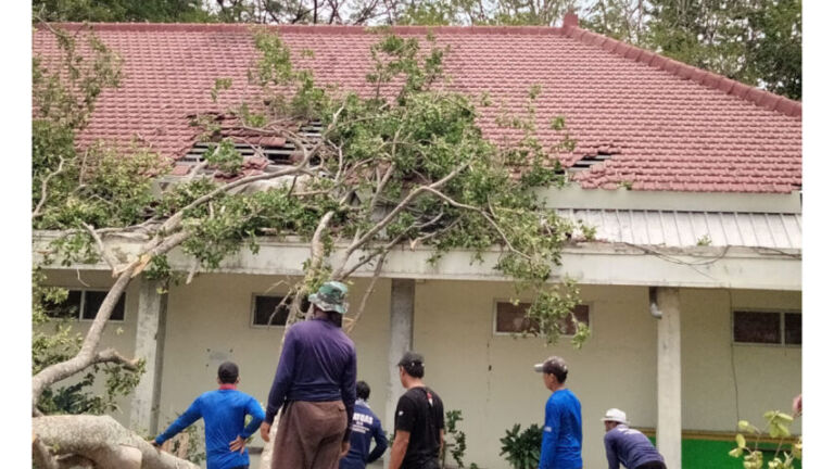 Pohon roboh di kolam renang Tirto Menggolo yang terletak di Jalan Pramuka, Ponorogo.