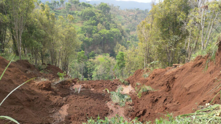 Kondisi longsor yang terjadi cukup berimbas pada petani-petani yang ada di Dukuh Kendal, Bareng, Pudak. (Foto/Polsek Pudak)