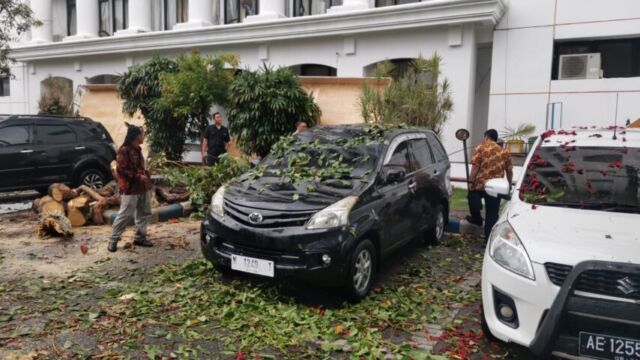 Hujan Deras dan Angin Kencang : Pohon Tumbang Menimpa 2 Mobil yang Terparkir di Halaman Gedung Lantai 8