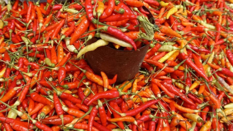 (SHUTTERSTOCK/Seplin1989)