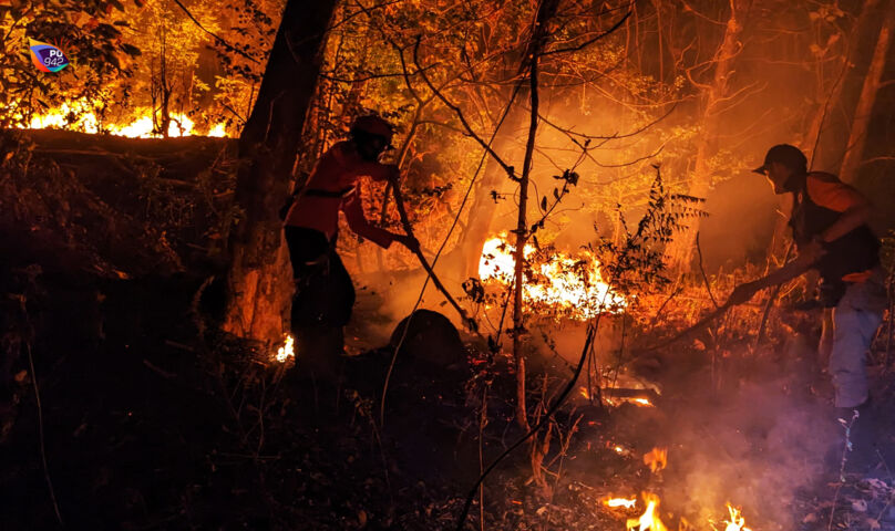Semalam 2 Hutan di Ponorogo Mengalami Kebakaran