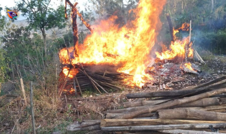 kebakaran kandang