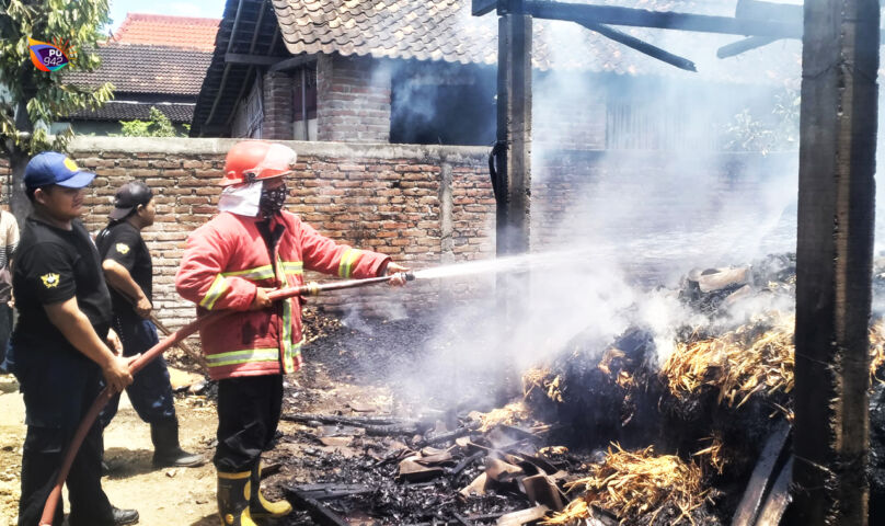 Dua Kandang di Ponorogo Habis Dilalap si Jago Merah Kerugian Ditaksir Puluhan Juta