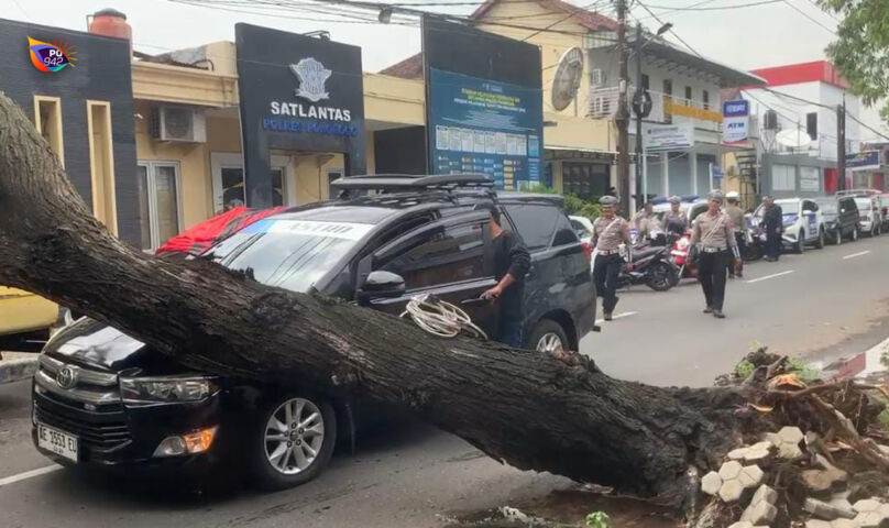 Mobil Travel Tertimpa Pohon Trembesi Tua di Depan Mapolres Ponorogo