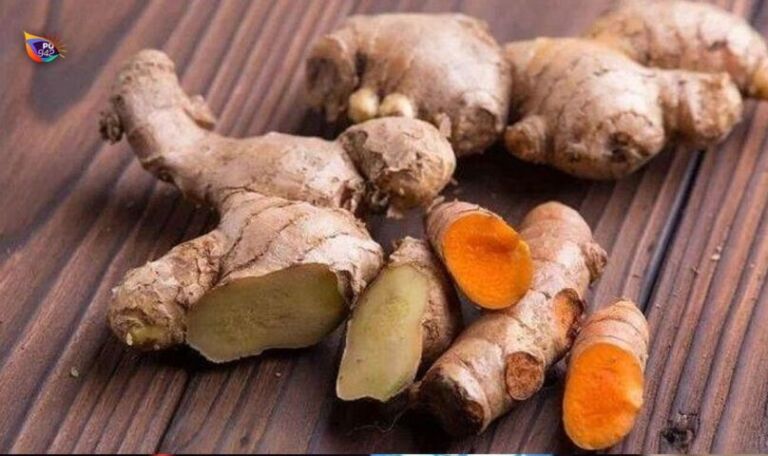 WhatsApp Image 2024-11-02 at 11.54.07 AM