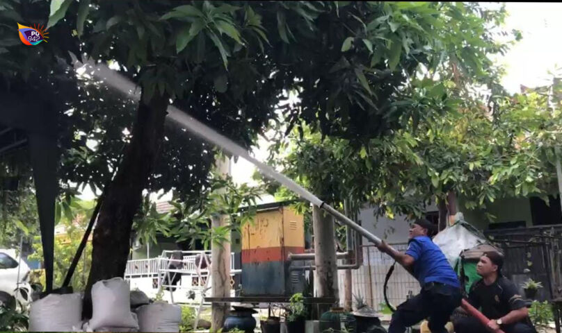 Satu Warga Dilarikan Ke Rumah Sakit Karena Disengat, Satpol PP Evakuasi Sarang Tawon Vespa di Perumda Keniten