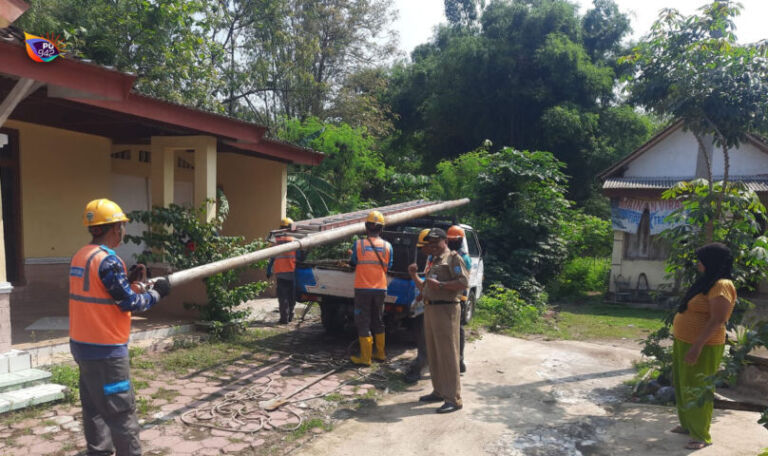 pohon bambu tumbang