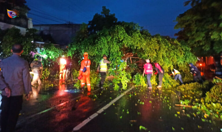 pohon tumbang jl.sultan agung