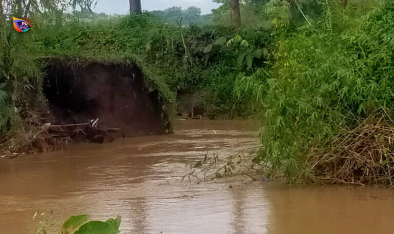 Titik tanggul jebol yang mengakibatkan area persawahan di Purworejo, Balong terendam air dua hari terakhir. (Foto/Istimewa)