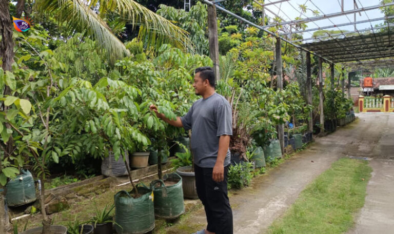 Zaky Arista di depan bibit-bibit pohon yang ia jual, kini semakin laris manis pasca intruksi bupati Ponorogo, Sugiri Sancoko terkait penggunaan bibit pohon sebagai pengganti karangan bunga. (Gema Surya/Yudi)