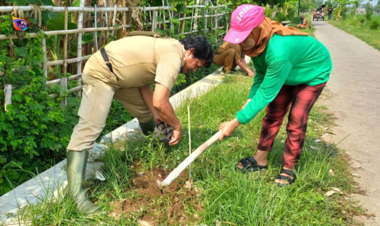 Puluhan ribu bibit pohon ditanam oleh Dinas Lingkungan Hidup (DLH) sejak 2024. Kedepan diharapkan mampu mengatasi kekeringan. (Dok. DLH Kab. Ponorogo)