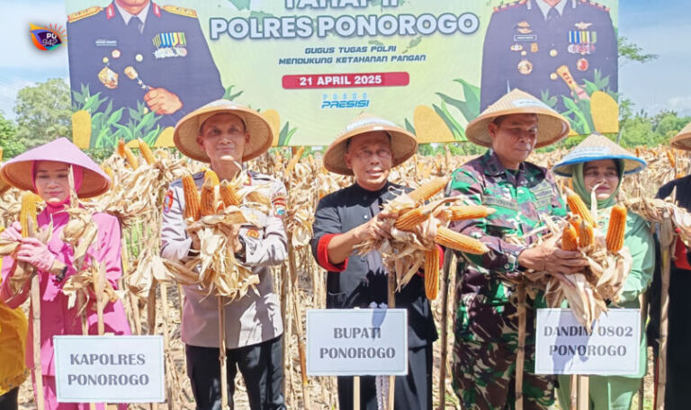 Jagung varietas Bhayangkara ditanam untuk mendukung penuh program Asta Cita Presiden Prabowo Subianto. (Gema Surya/Yudi)