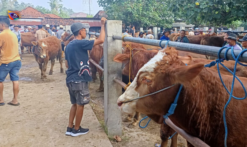 SAPI
