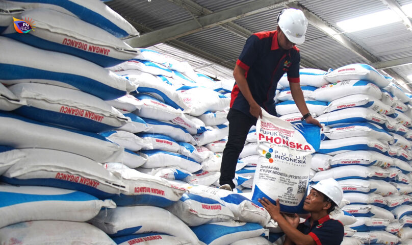 Stok pupuk yang dikatakatan Dispertahankan aman atau mencukupi, dipertanyakan kalangan petani di Sukorejo. Mereka bilang stok pupuk sangat langka dan harus mencari keluar daerah meski dengan harga yang mahal. (Foto/Istimewa)