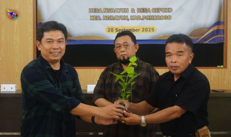 bibit