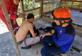 tawon