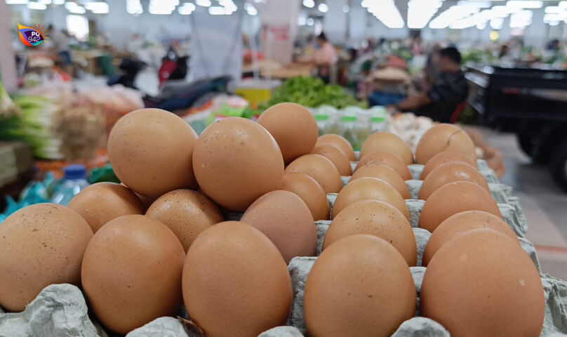 telur5