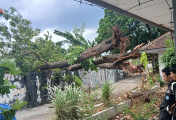 tumbang