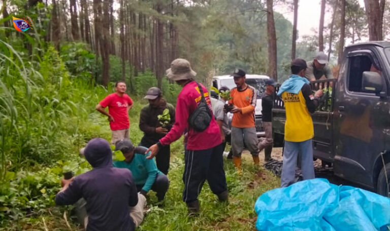 Kopi jenis robusta masih jadi favorit, penanaman bibit dikebut juga untuk program pilot project. (Foto/Kiriman Lukito)