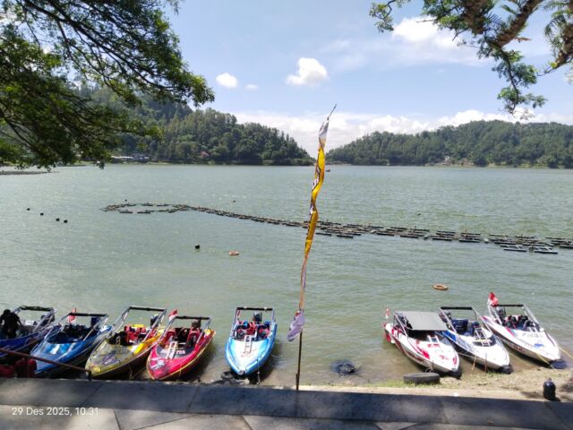 WhatsApp Image 2025-12-29 at 10.33.46