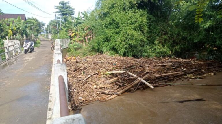 WhatsApp Image 2026-01-02 at 08.56.10