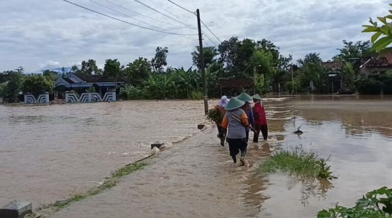 WhatsApp Image 2026-01-02 at 10.28.13