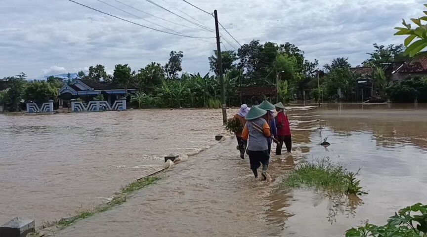 WhatsApp Image 2026-01-02 at 10.28.13